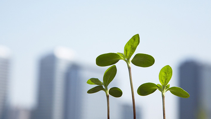 内蒙古蒙西某化化工集团