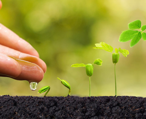 石家庄出台工业污染源全面达标排放方案